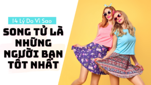 14 ly do vi sao song tu la nhung nguoi ban tot nhat ma ban tung co