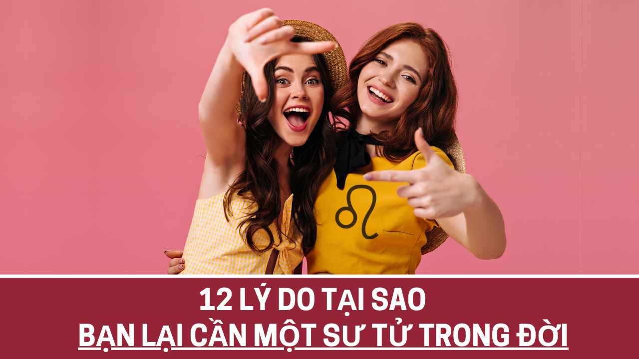 12 ly do tai sao ban lai can mot nguoi ban su tu trong doi