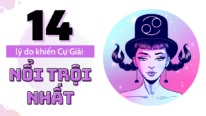 14 ly do khien cu giai noi troi nhat